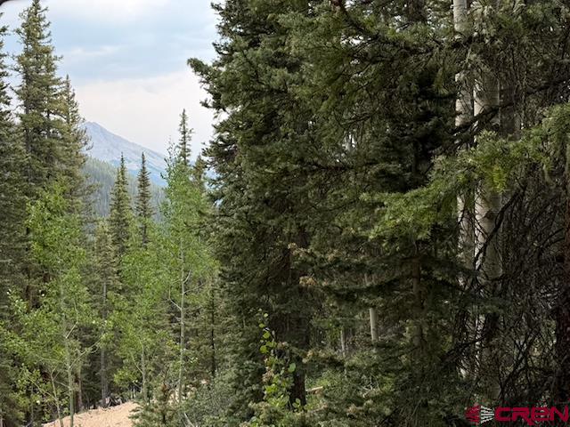 Lot 1 Overland Estates, Cr 110 Silverton CO 81433