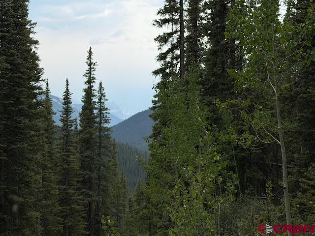 Lot 1 Overland Estates, Cr 110 Silverton CO 81433