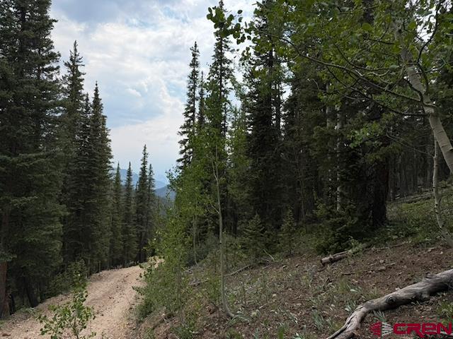 Lot 1 Overland Estates, Cr 110 Silverton CO 81433