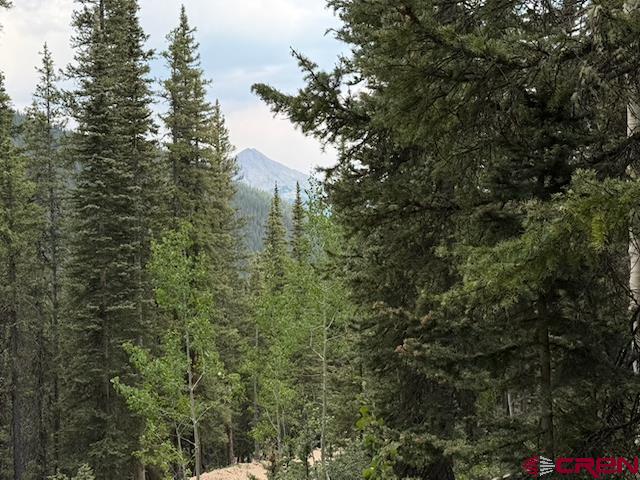 Lot 1 Overland Estates, Cr 110 Silverton CO 81433