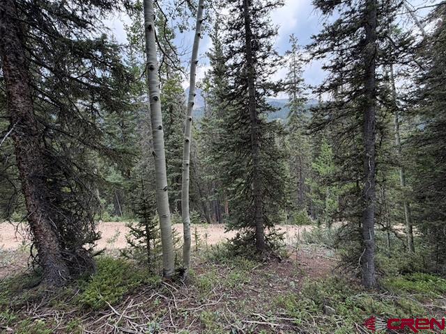 Lot 1 Overland Estates, Cr 110 Silverton CO 81433