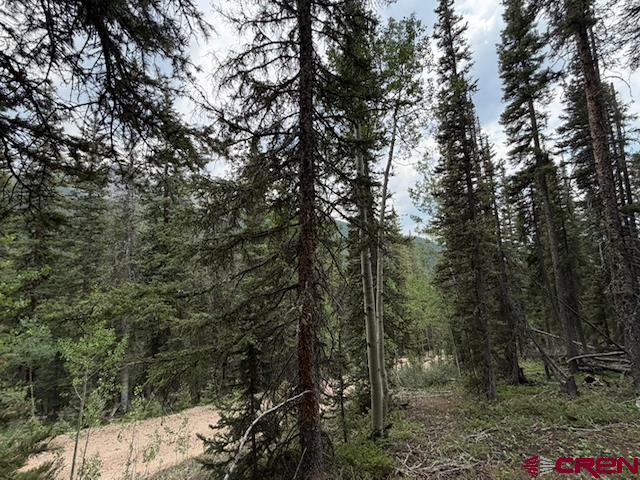 Lot 1 Overland Estates, Cr 110 Silverton CO 81433