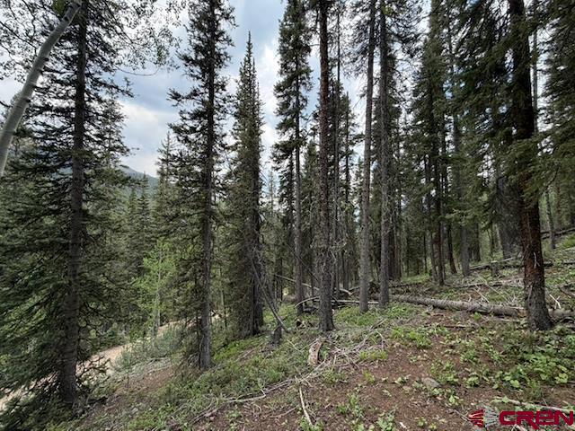 Lot 1 Overland Estates, Cr 110 Silverton CO 81433