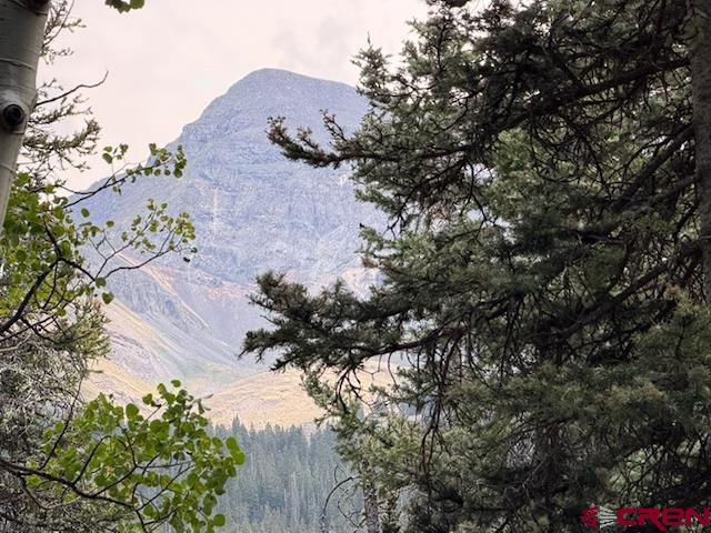 Lot 1 Overland Estates, Cr 110 Silverton CO 81433