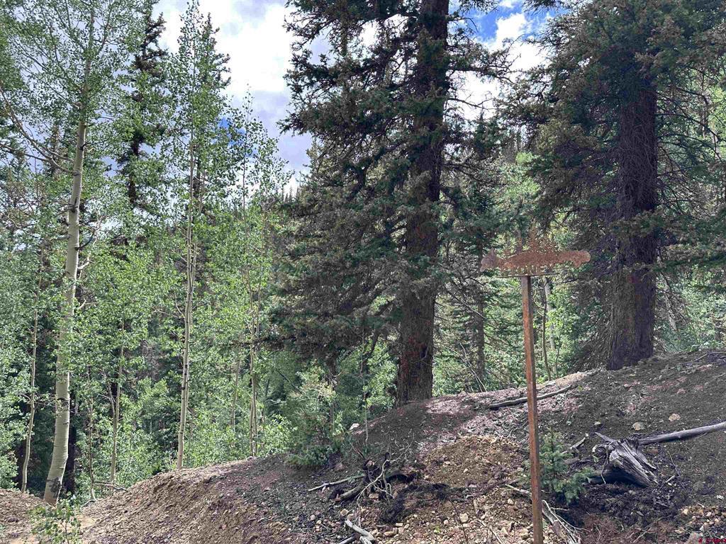 Lot 1 Overland Estates, Cr 110 Silverton CO 81433