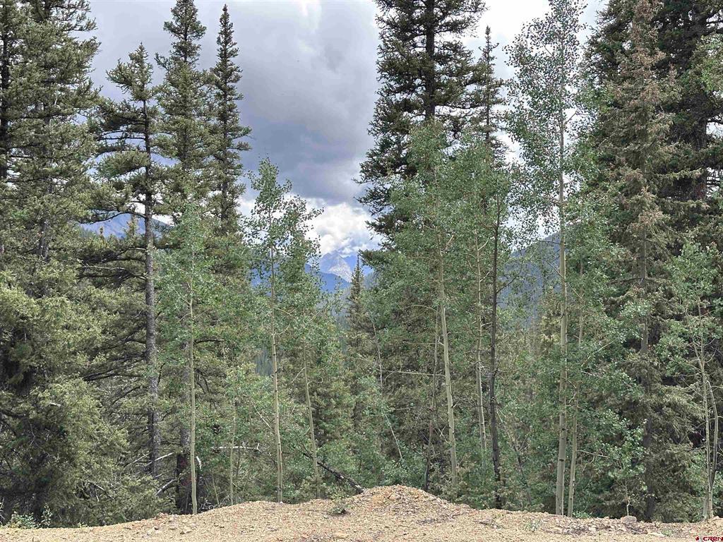 Lot 1 Overland Estates, Cr 110 Silverton CO 81433