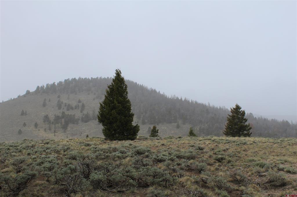 151 Trailridge Trail Gunnison CO 81230