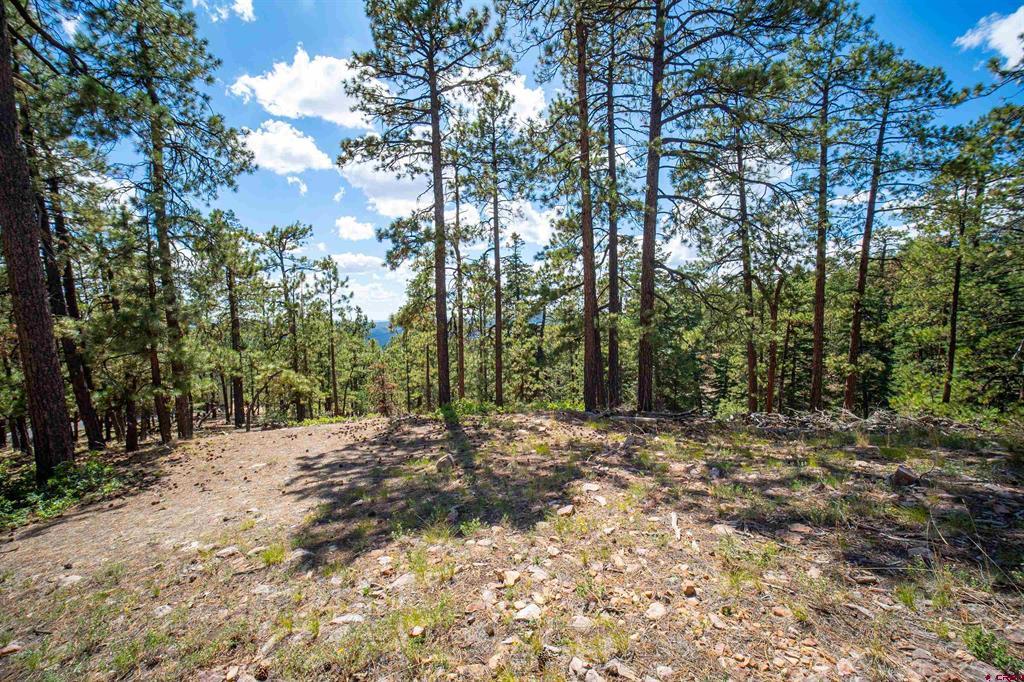 85 Pine Ridge Drive Bayfield CO 81122