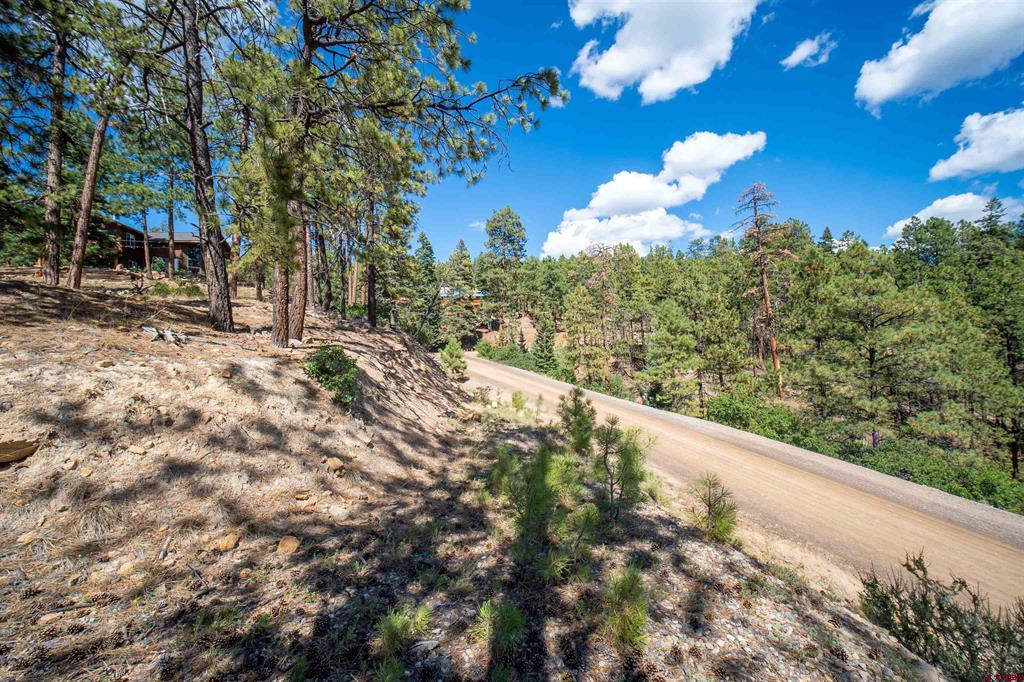 85 Pine Ridge Drive Bayfield CO 81122