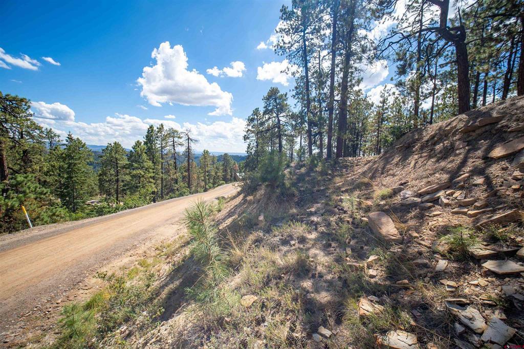 85 Pine Ridge Drive Bayfield CO 81122