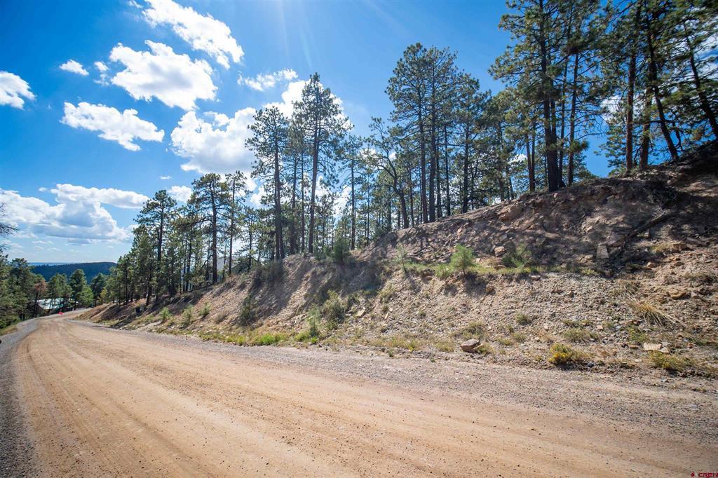 85 Pine Ridge Drive Bayfield CO 81122