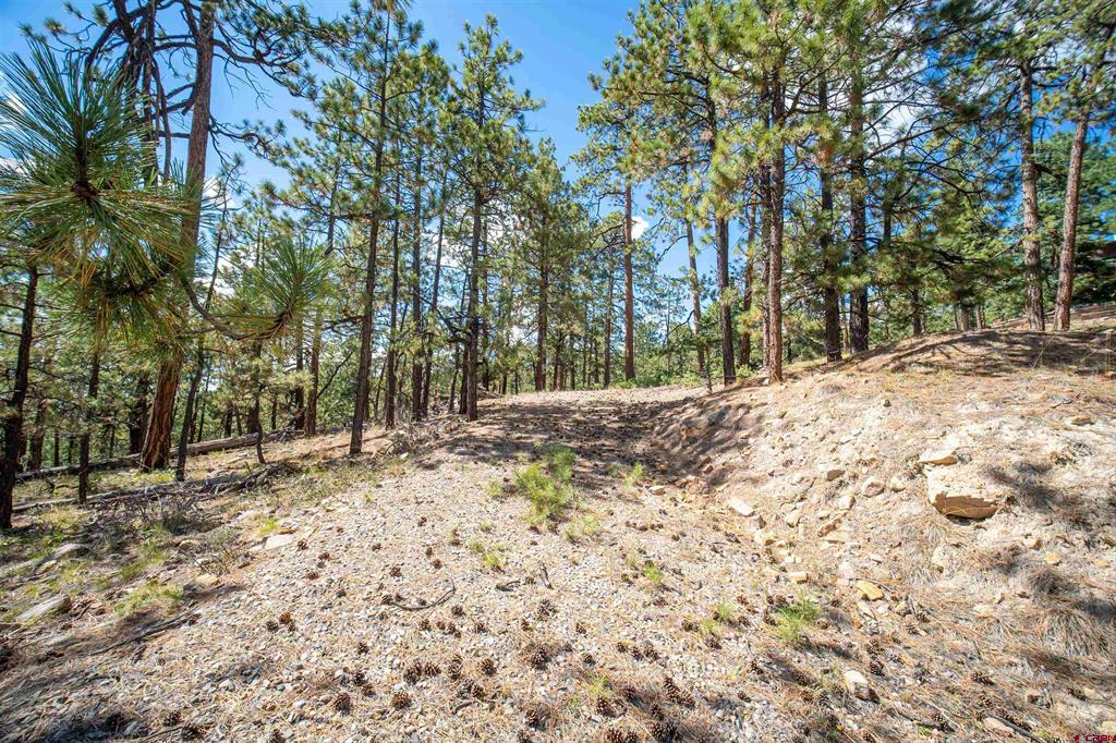 85 Pine Ridge Drive Bayfield CO 81122