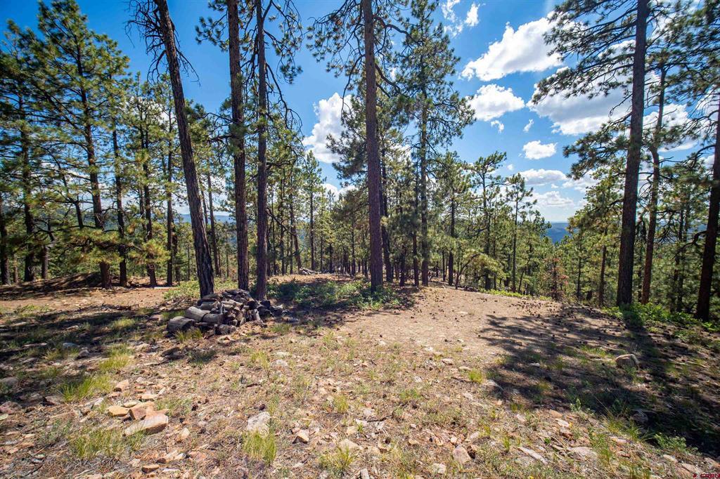 85 Pine Ridge Drive Bayfield CO 81122