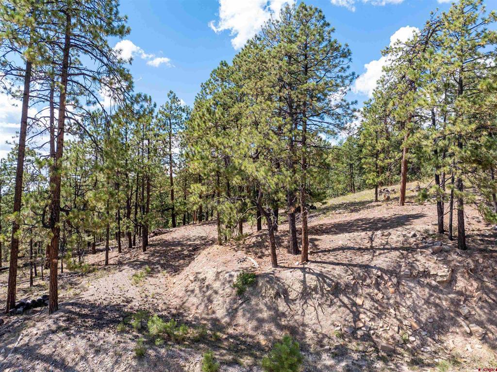 85 Pine Ridge Drive Bayfield CO 81122