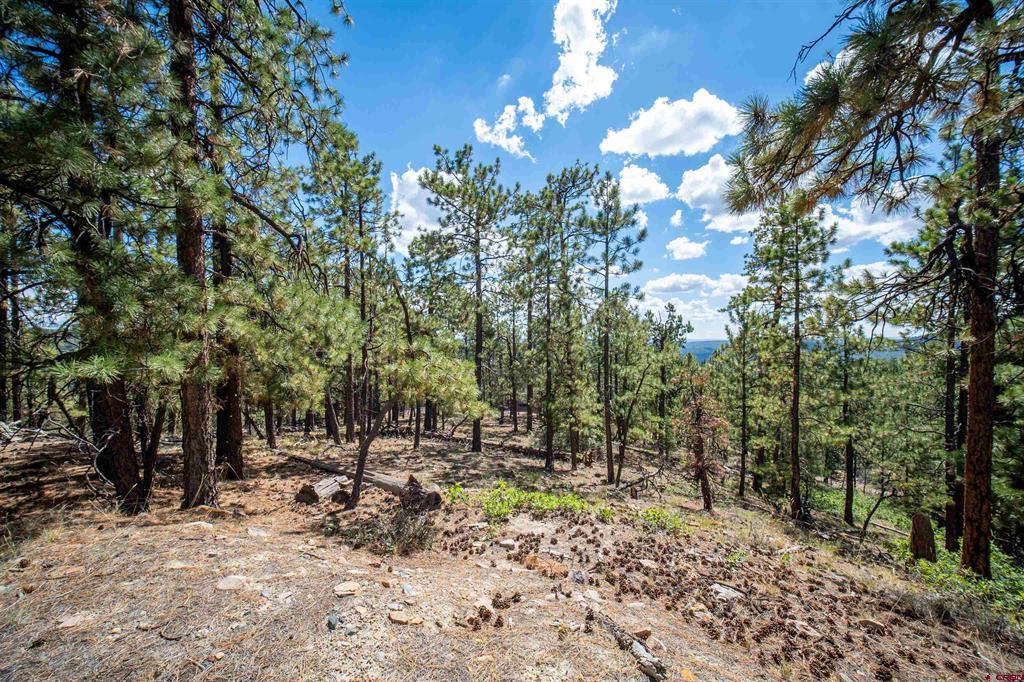 85 Pine Ridge Drive Bayfield CO 81122