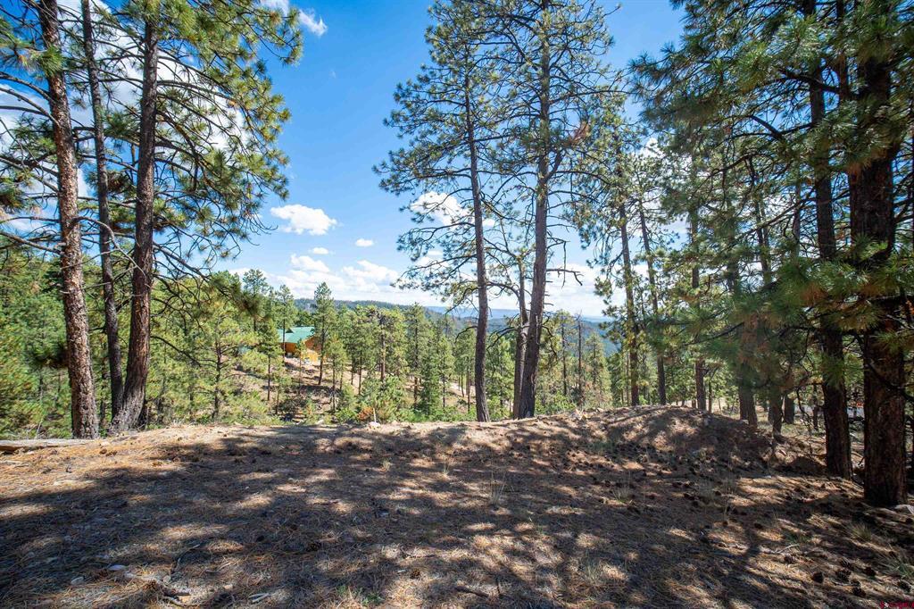 85 Pine Ridge Drive Bayfield CO 81122