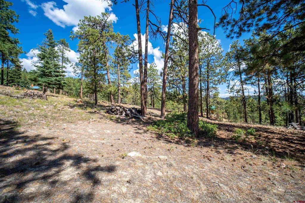 85 Pine Ridge Drive Bayfield CO 81122
