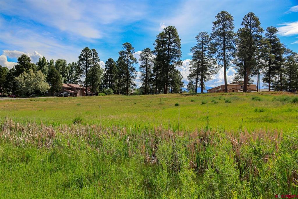 63 Talisman Drive Pagosa Springs CO 81147