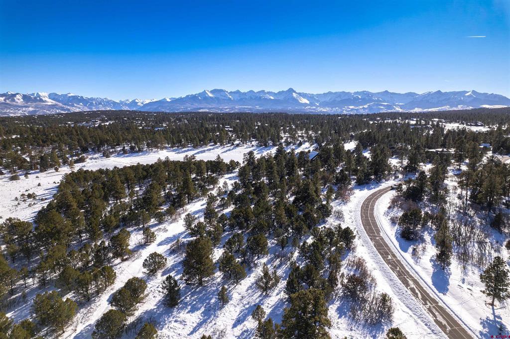 Lot 555 N Badger Trail Ridgway CO 81432
