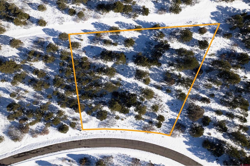 Lot 555 N Badger Trail Ridgway CO 81432