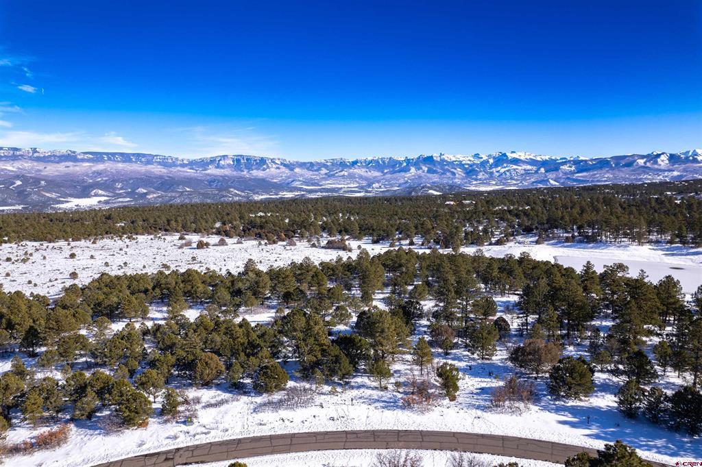 Lot 555 N Badger Trail Ridgway CO 81432