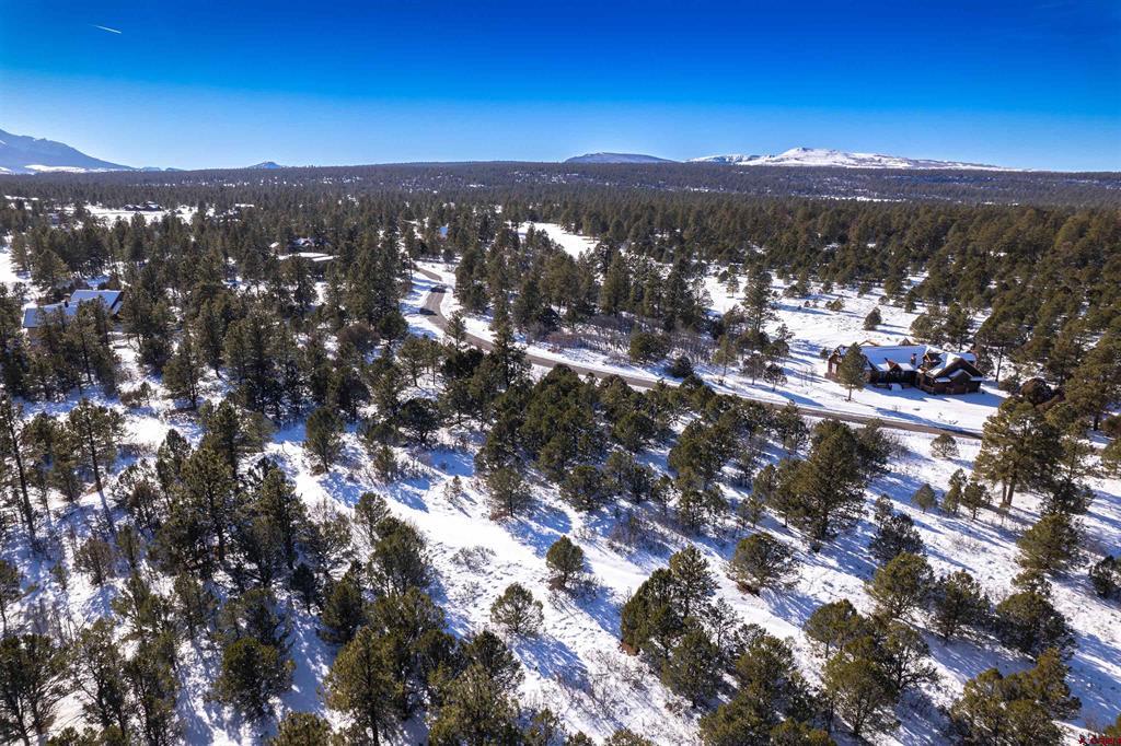Lot 555 N Badger Trail Ridgway CO 81432