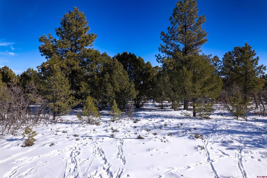 Lot 555 N Badger Trail Ridgway CO 81432