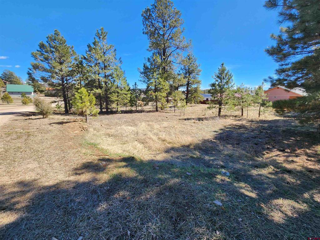 1059 Hills Circle Pagosa Springs CO 81147