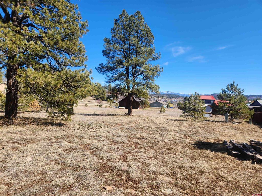 1059 Hills Circle Pagosa Springs CO 81147