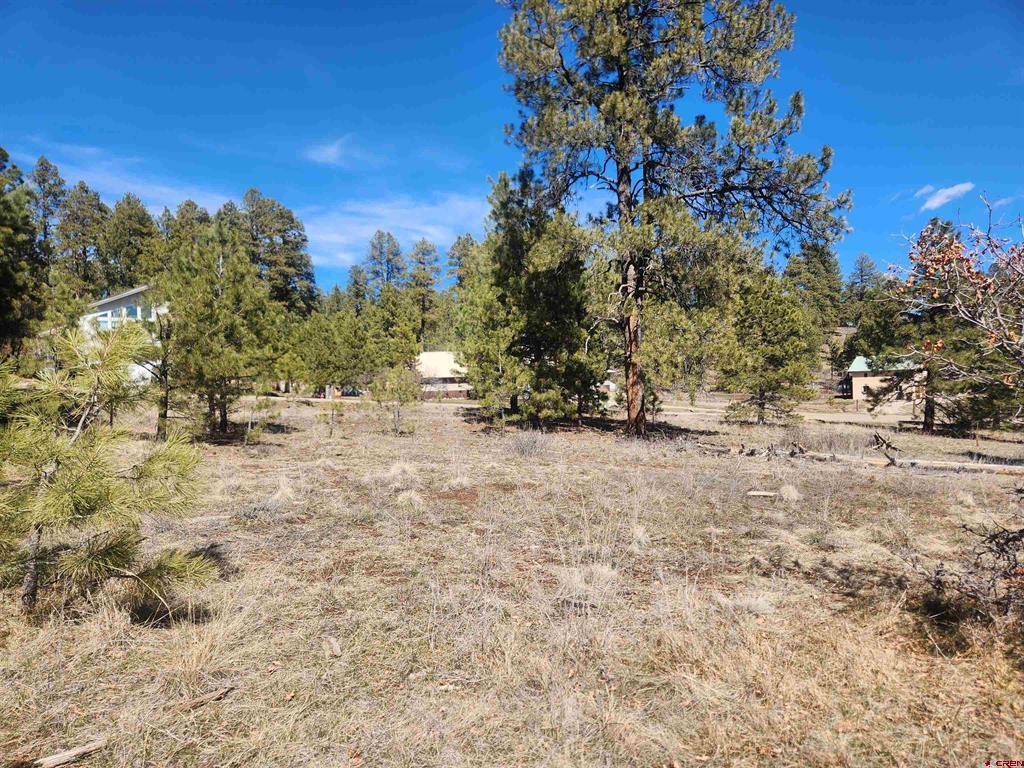 1059 Hills Circle Pagosa Springs CO 81147