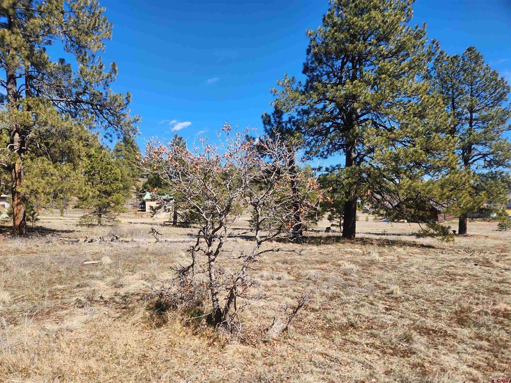1059 Hills Circle Pagosa Springs CO 81147