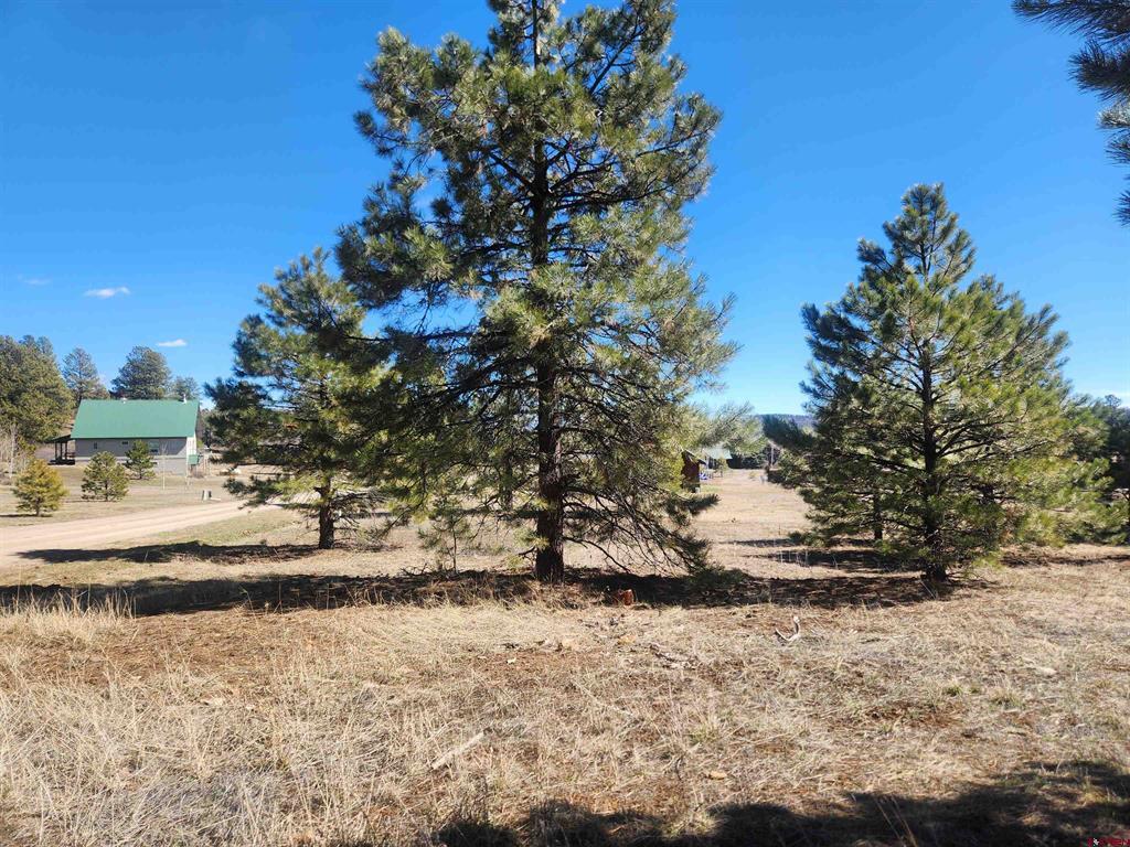 1059 Hills Circle Pagosa Springs CO 81147