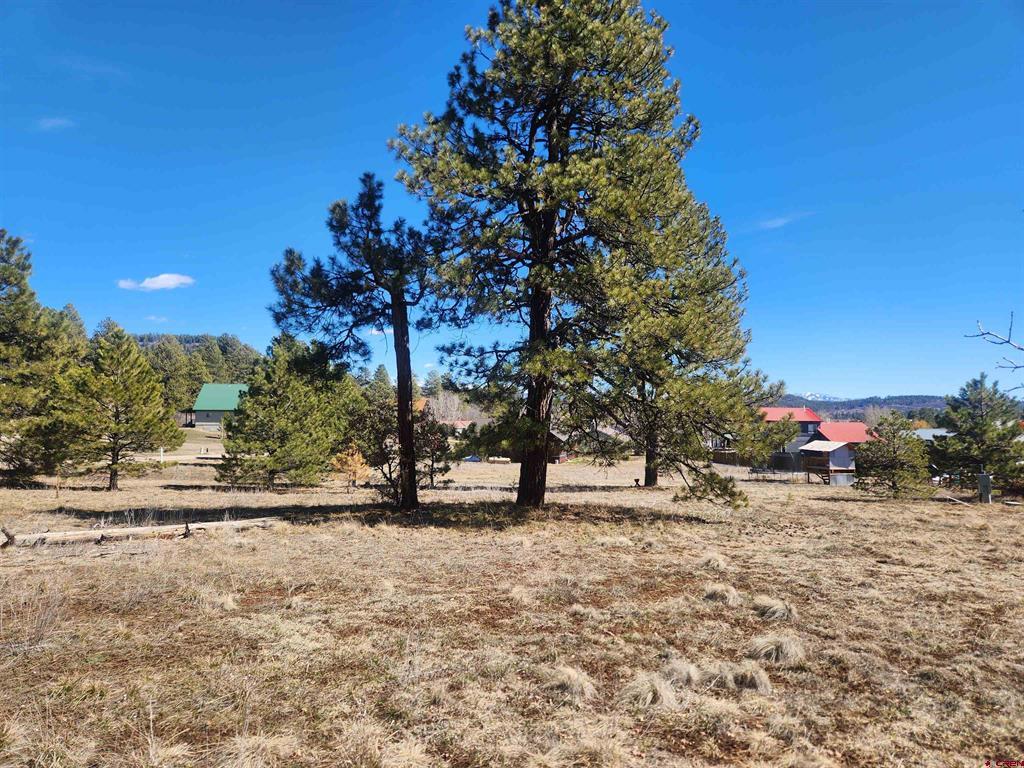 1059 Hills Circle Pagosa Springs CO 81147