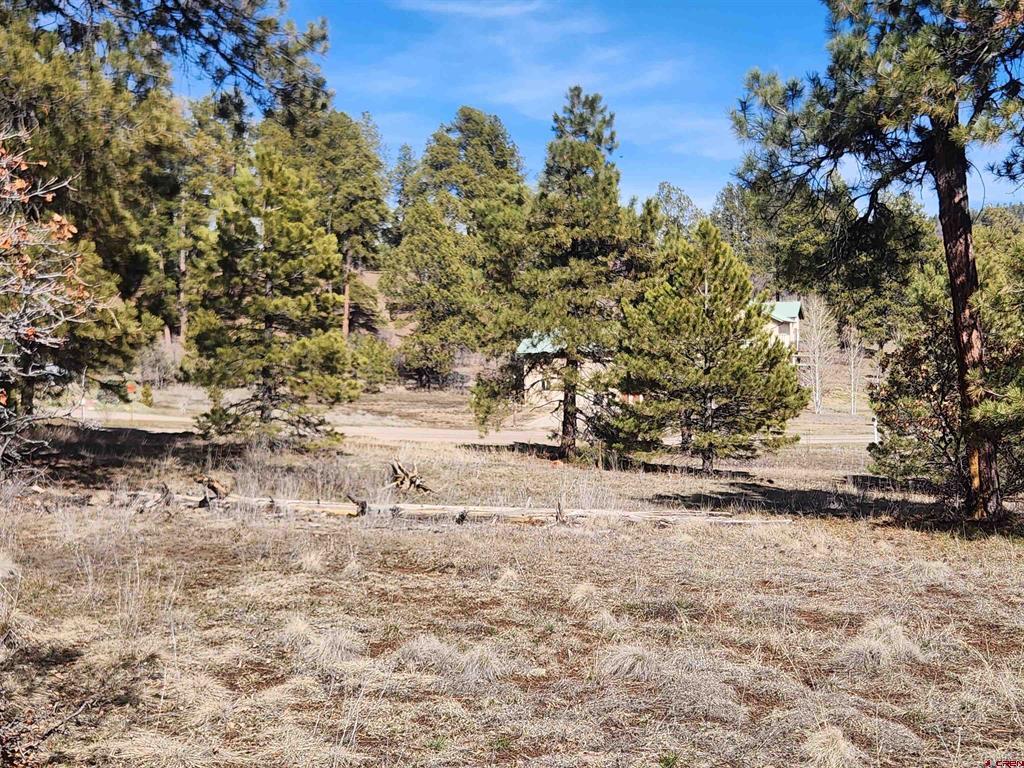 1059 Hills Circle Pagosa Springs CO 81147
