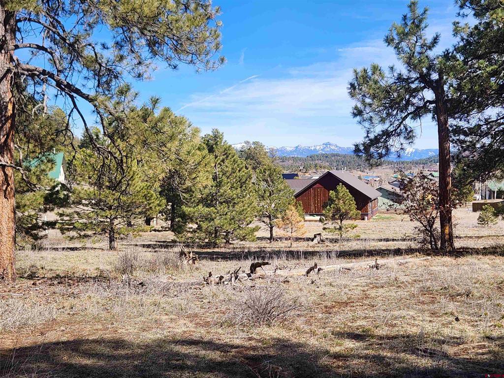 1059 Hills Circle Pagosa Springs CO 81147