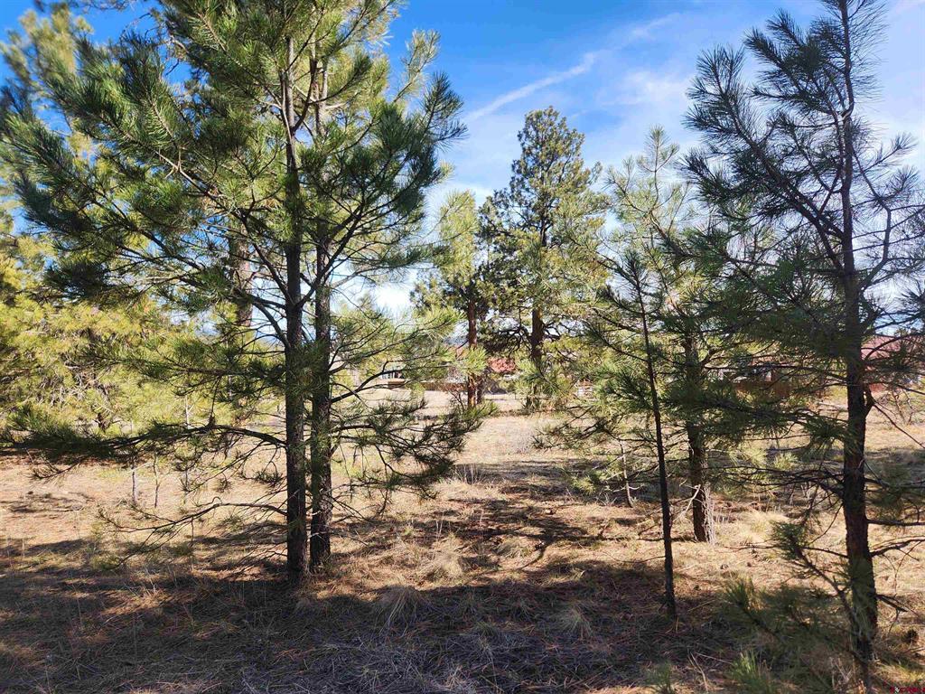 1059 Hills Circle Pagosa Springs CO 81147
