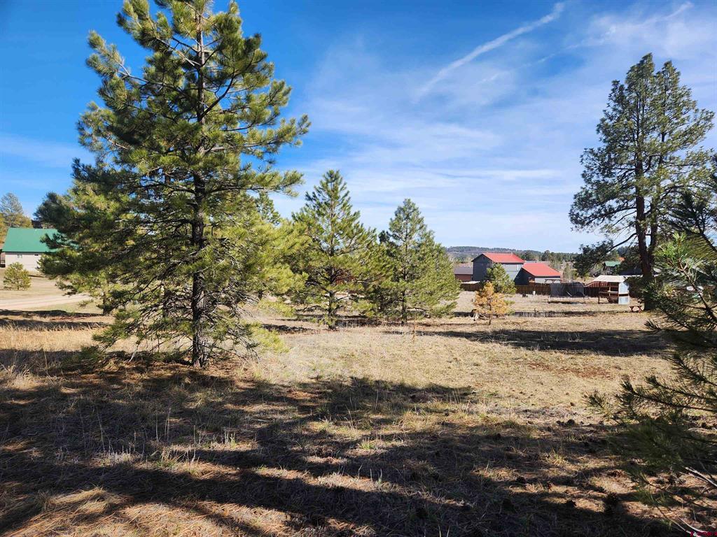 1059 Hills Circle Pagosa Springs CO 81147