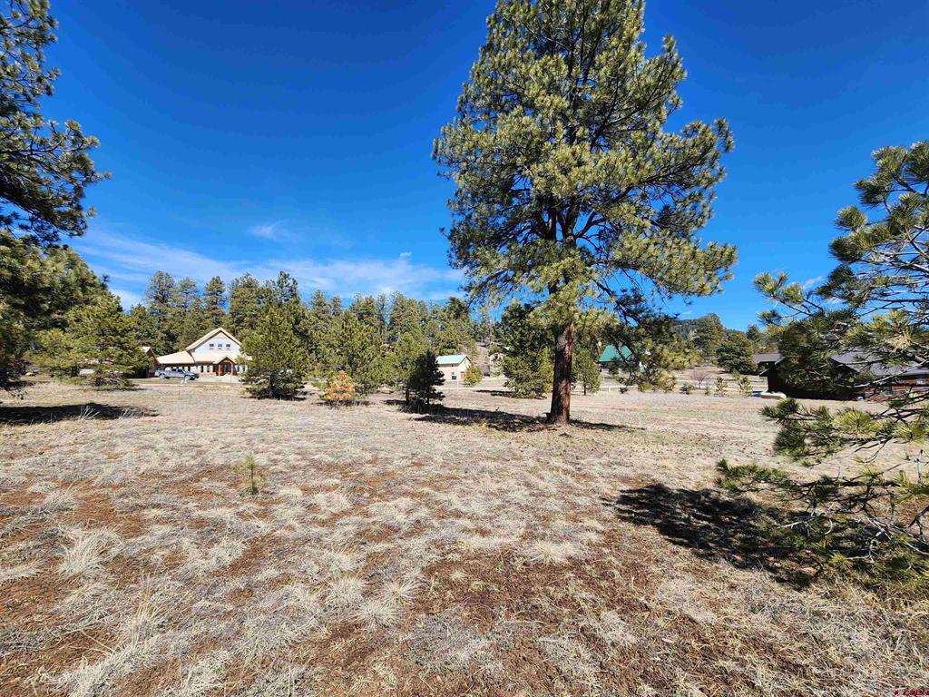 1059 Hills Circle Pagosa Springs CO 81147
