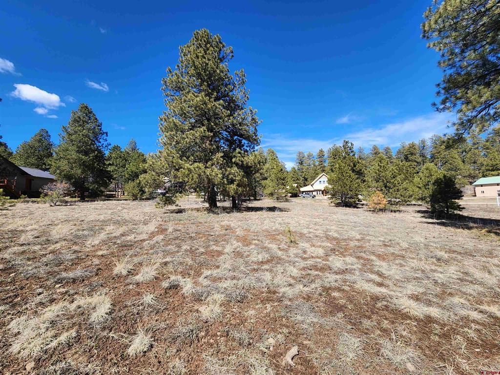 1059 Hills Circle Pagosa Springs CO 81147