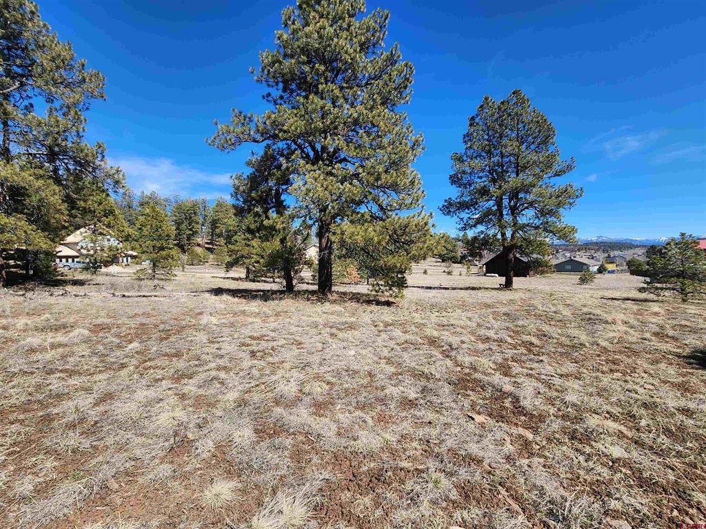 1059 Hills Circle Pagosa Springs CO 81147