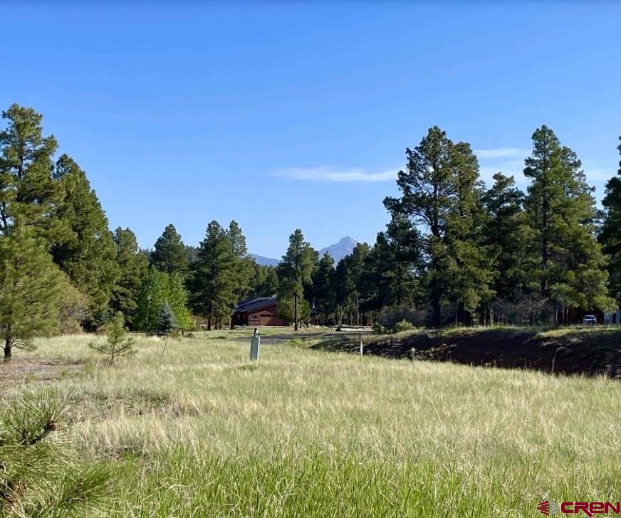 Pagosa Springs CO, 715 Oxbow