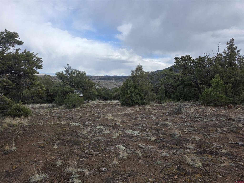 326 Pikrd Peak Road South Fork CO 81154