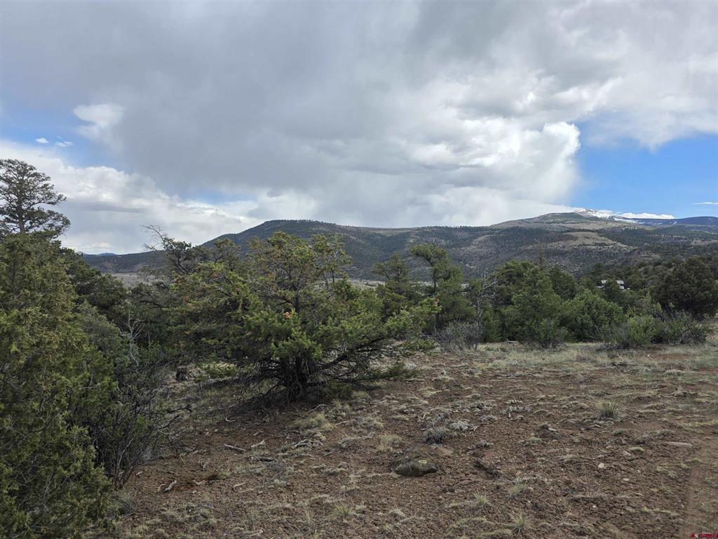326 Pikrd Peak Road South Fork CO 81154