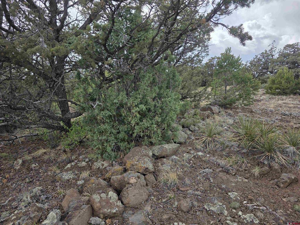 326 Pikrd Peak Road South Fork CO 81154