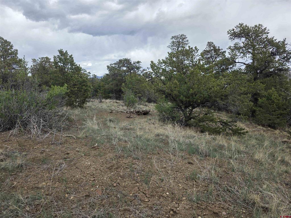 326 Pikrd Peak Road South Fork CO 81154