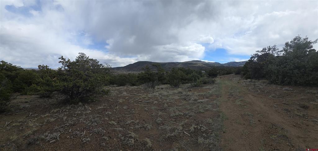 326 Pikrd Peak Road South Fork CO 81154