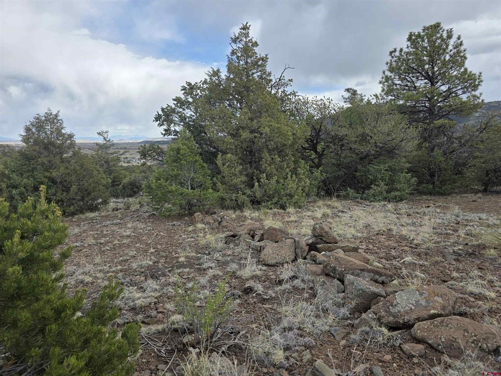 326 Pikrd Peak Road South Fork CO 81154