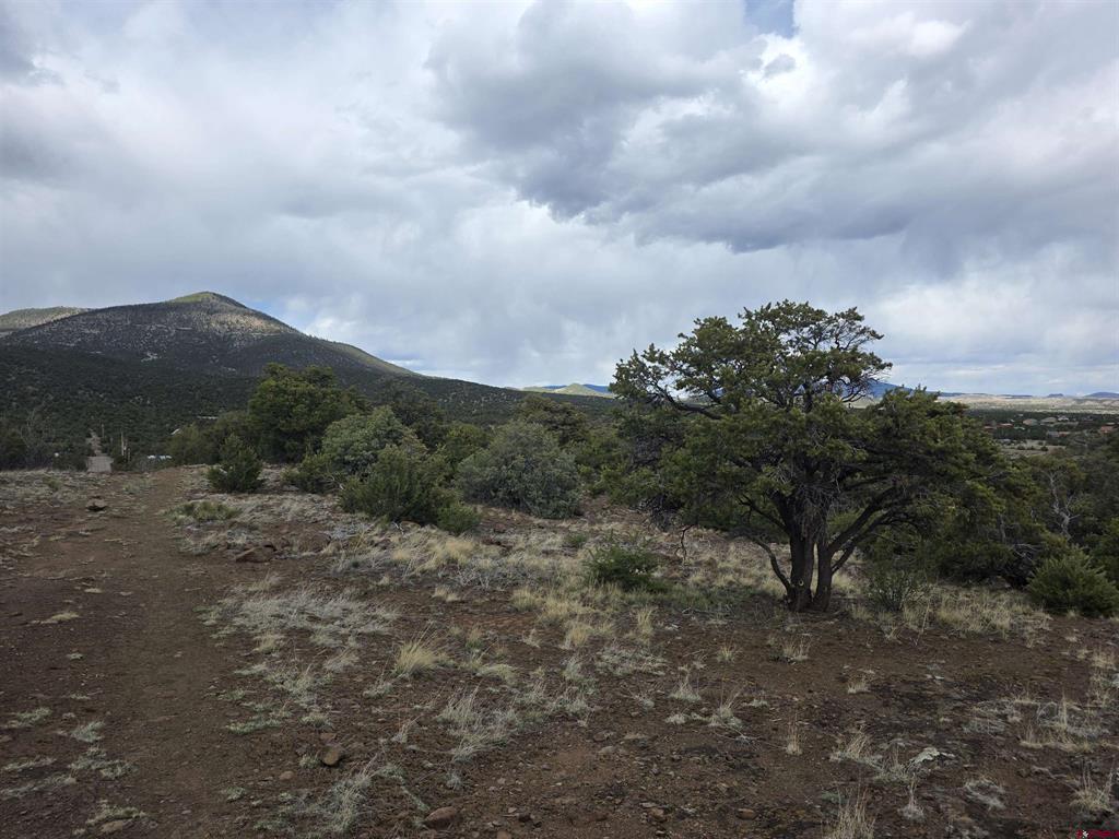 326 Pikrd Peak Road South Fork CO 81154