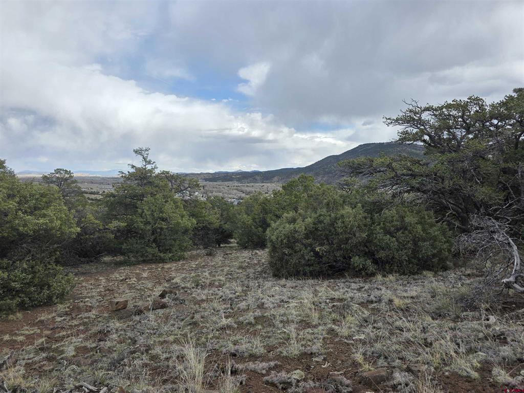 326 Pikrd Peak Road South Fork CO 81154