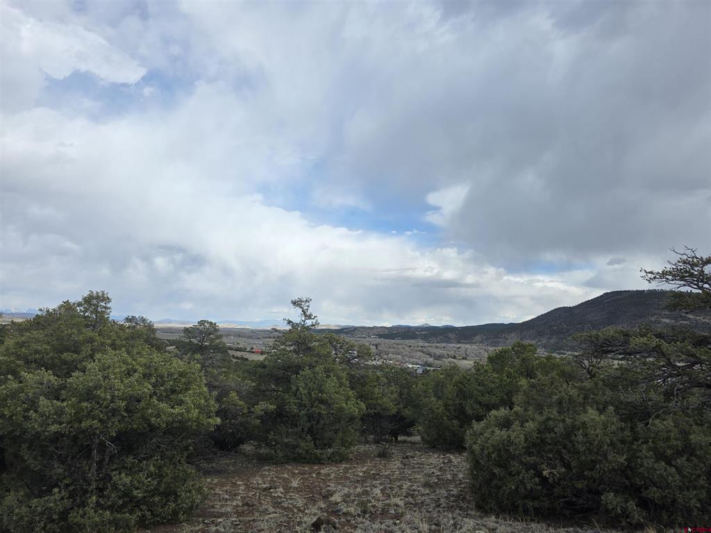 326 Pikrd Peak Road South Fork CO 81154